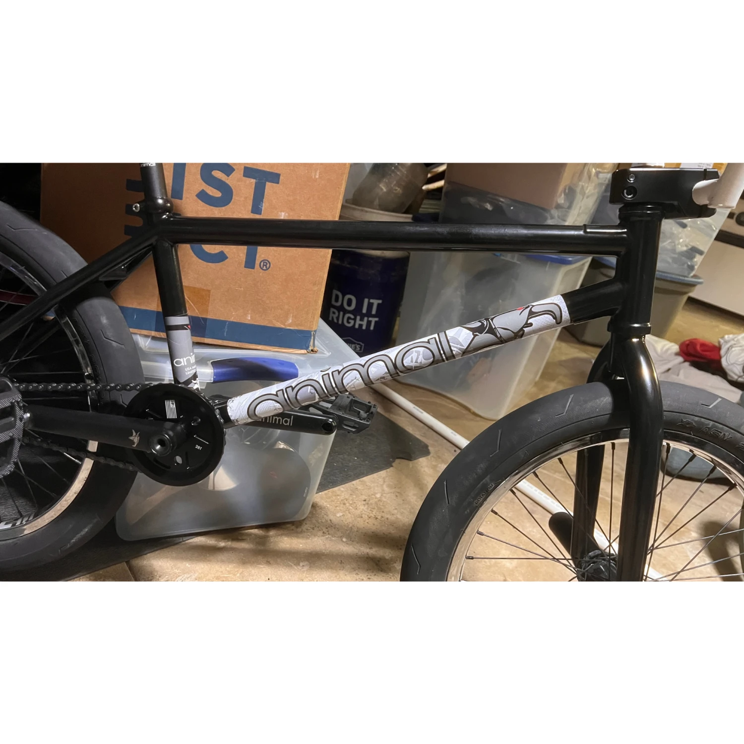 Animal Red Eye Frame **PREORDER** 2 Animal Red Eye Frame **PREORDER** - Image 2