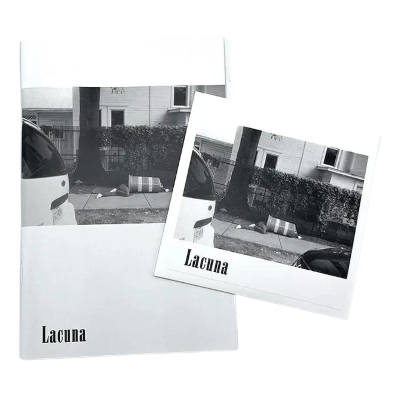 Skapegoat Lacuna DVD / Zine 1 Skapegoat Lacuna DVD / Zine